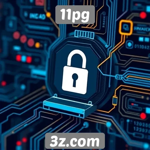 Estudo sobre a segurança e privacidade no 11pg